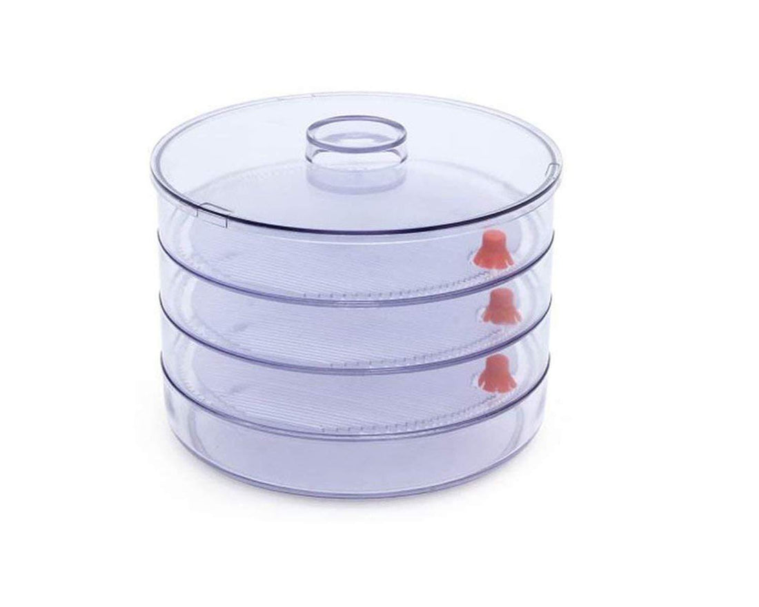 070 Plastic 4 Compartment Sprout Maker White - Shop Gharse