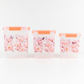 Square 3 Pcs Floral Printed Airtight Storage Container Set  Approx 2.8 Ltr 4.5 Ltr 6.9 Ltr (3 Pcs Set) - Shop Gharse