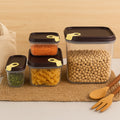 Ritu Push N Lock Airtight Food Storage Container Set (4 Pc) - Shop Gharse