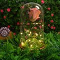 Glass Flower With Led Light Great Gift (1 Set) - Shop Gharse