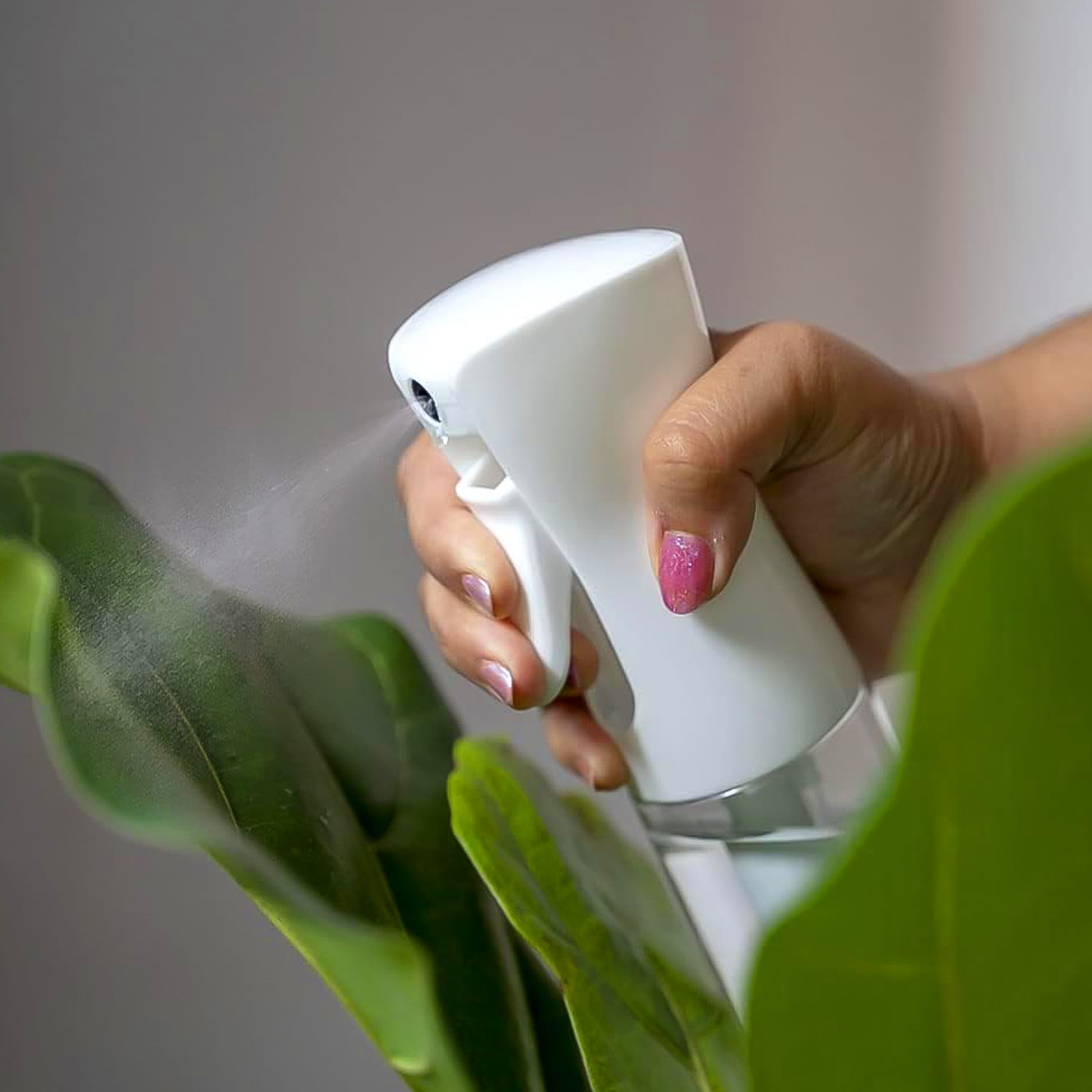 Plastic Oil Spray Bottle - Versatile Kitchen Gadgets (250 Ml Approx  With White Box) - Shop Gharse