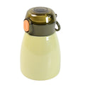 Vacuum Insulation Flask Bottle With Straw For Sports Adult Children (Approx 480ml) - Shop Gharse