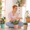 Plastic Flower Pot With Bottom Tray (5 Pcs Set) - Shop Gharse