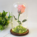 Glass Flower With Led Light Great Gift (1 Set) - Shop Gharse
