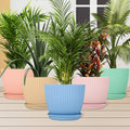 Plastic Flower Pot With Bottom Tray (5 Pcs Set) - Shop Gharse