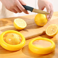 Vegetable Container Premium Fruits Saver Keeper (1 Pc) - Shop Gharse